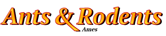 Ames Ant Exterminator & Rodent Control Company Logo